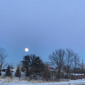 Meet your Posher, Sydney